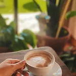 Quinta Amarela 招待所