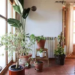 Quinta Amarela 纳扎雷