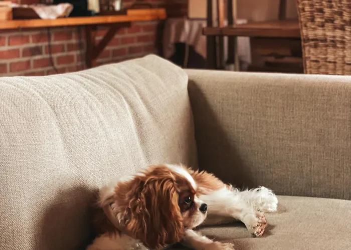 Quinta Amarela Gasthuis