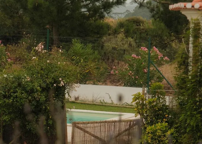 בית הארחה Quinta Amarela נאזרה