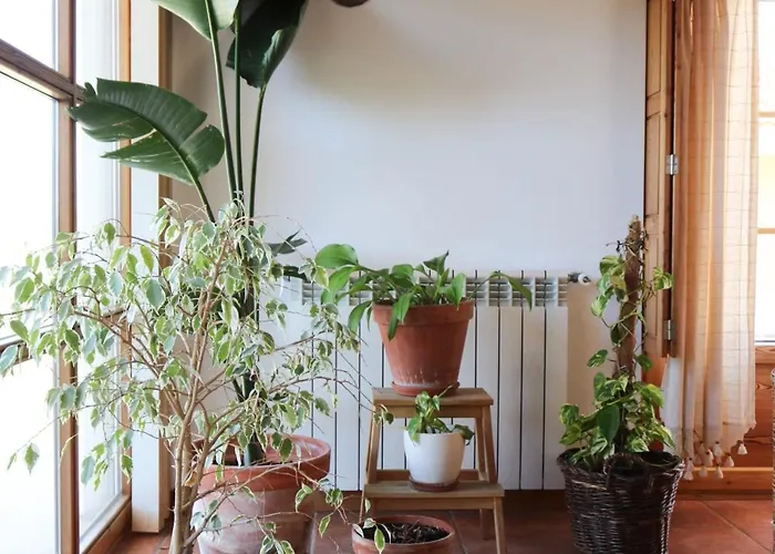 Quinta Amarela נאזרה